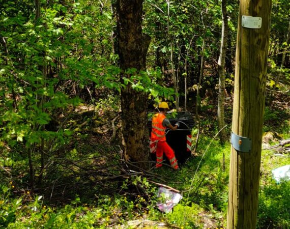 Riposizionamento dei Cassonetti Danneggiati | ASSOLOG